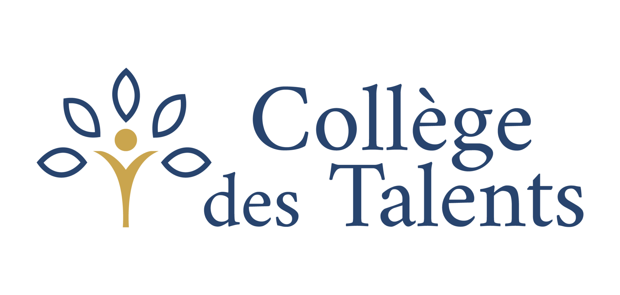 logo CDT 2.0